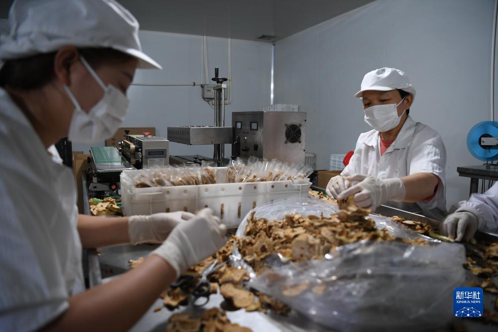爱博体育官网